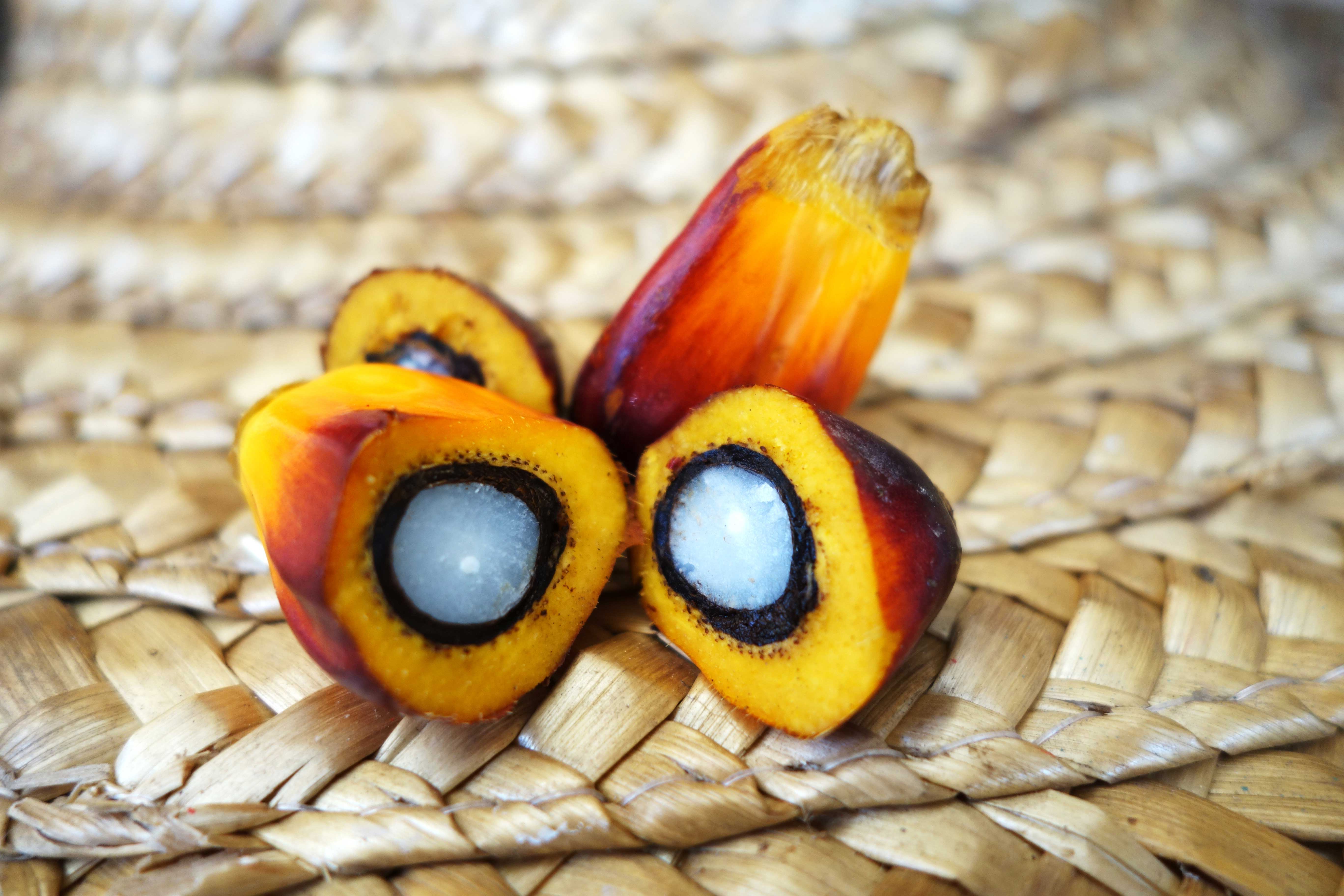 Palm Oil - Homa Resources Sdn. Bhd.